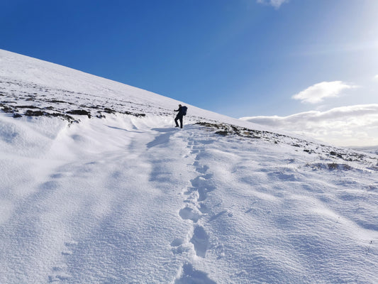 Walking into a Winter Dream