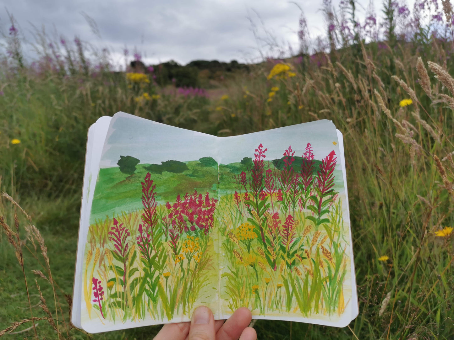 Print Willowherbs - Giclée Print