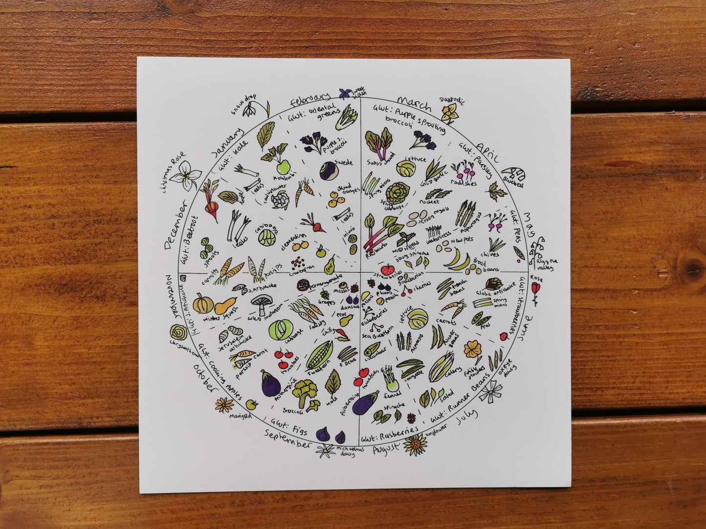 UK Seasonal Fruit and Vegetable Harvest Wheel