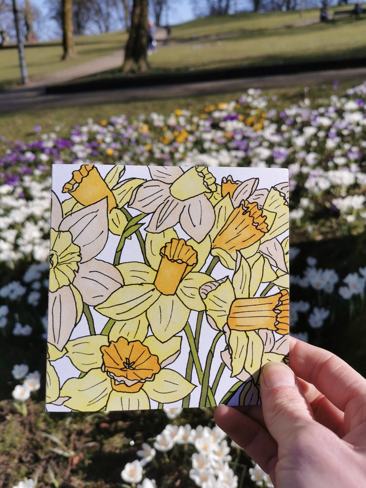 Daffodil Greeting Card