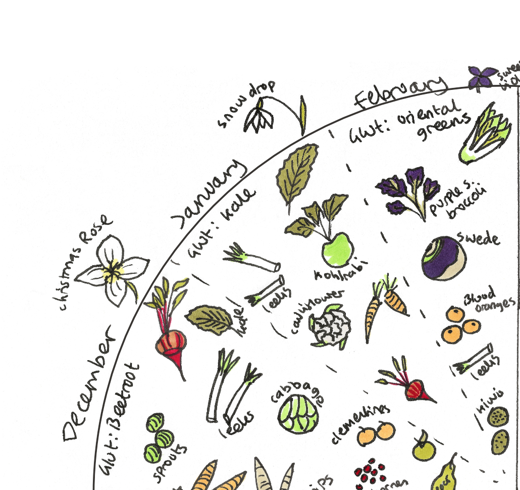 UK Seasonal Fruit and Vegetable Harvest Wheel