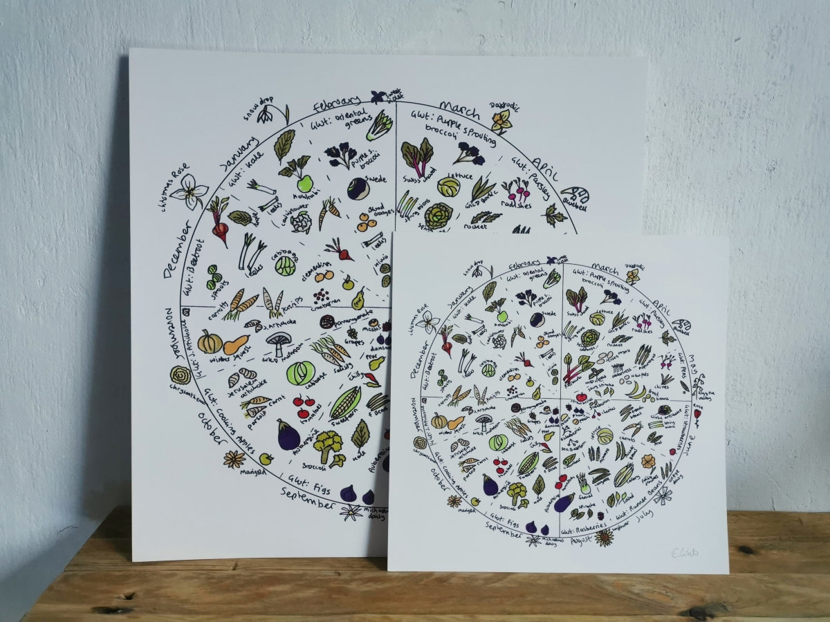 Two circular illustrations of the seasonal fruit and vegetable wheel on a white background.