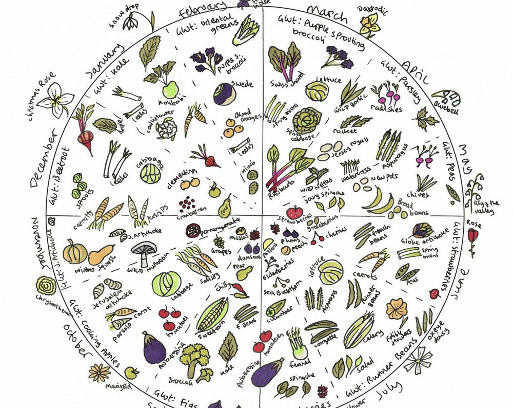 UK Seasonal Fruit and Vegetable Harvest Wheel