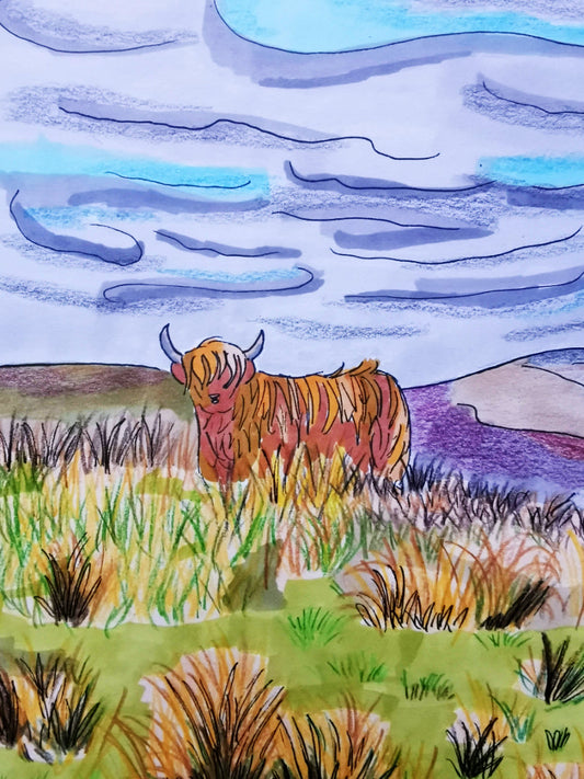 Highland Coos