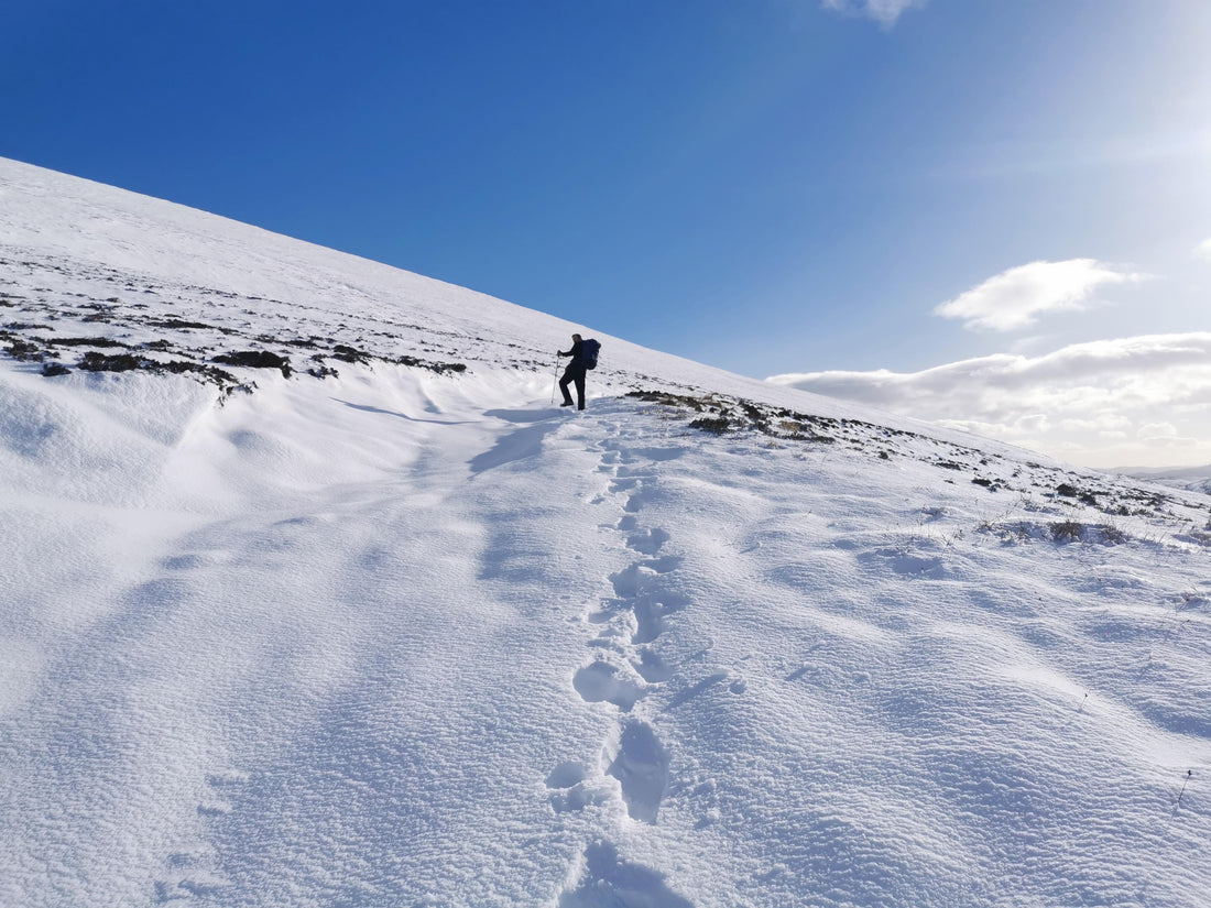 Walking into a Winter Dream