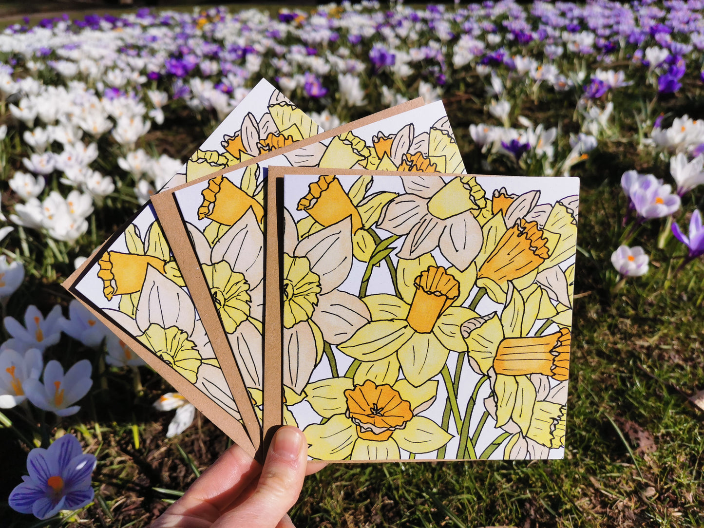 A hand holding a set of greeting cards with a printed illustration of daffodils, with more daffodils and flowers in the background.