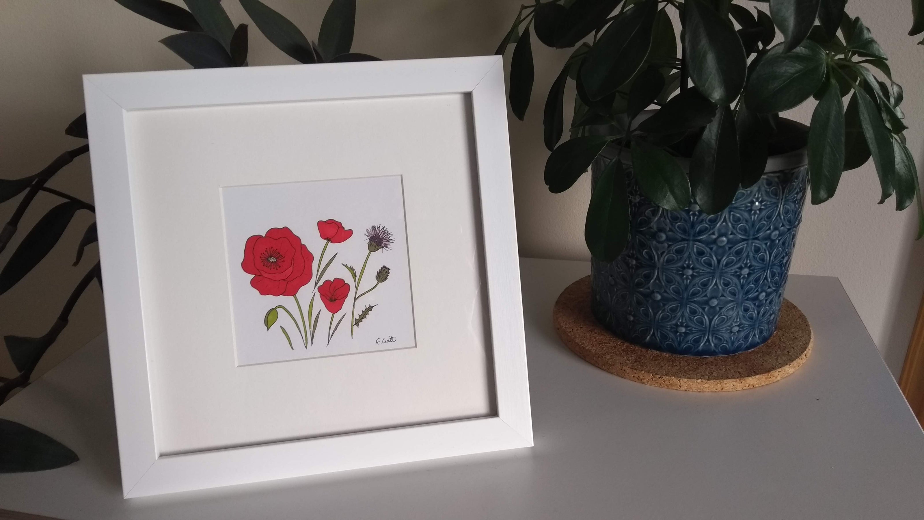 Square white framed pen and ink illustration of red poppies and thistles.