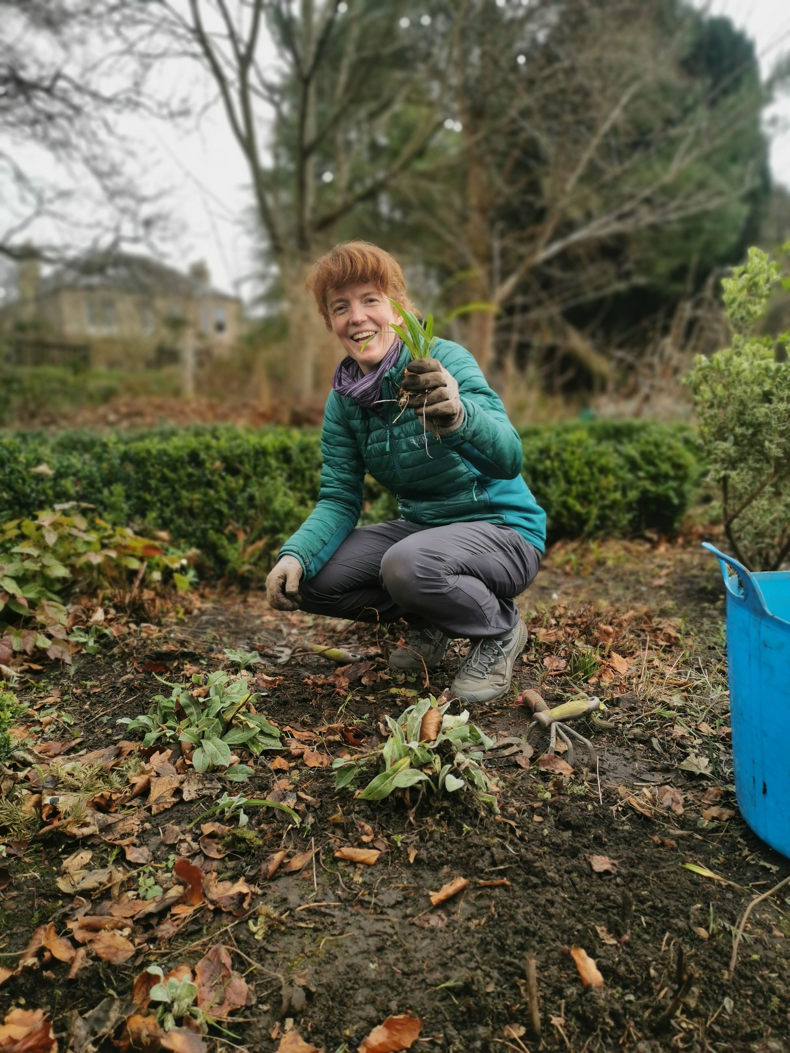 Photo of a woman kneeling down in a garden and holing up a plant.