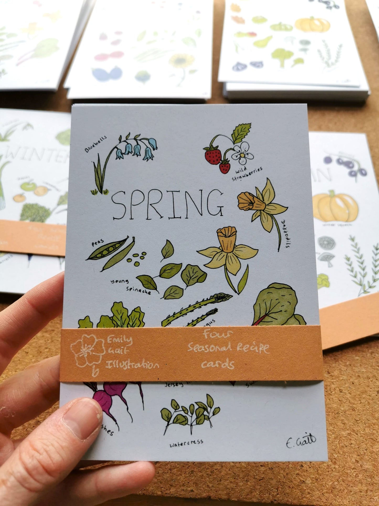 Pack of 'Spring' themed recipe cards with illustrations held by a hand.