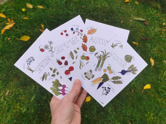 Seasonal Recipe Postcard Set - 4 Illustrations
