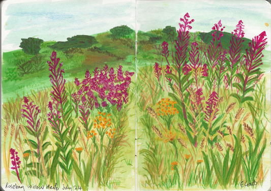 Print Willowherbs -  Giclée Print
