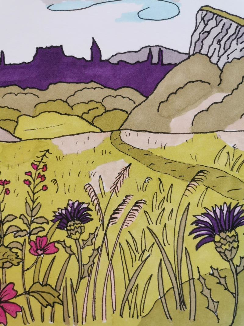 Closeup of a print of Salisbury Crags in Edinburgh showing rosebay willowherbs and thistles in the foreground with the skyline of Edinburgh city.