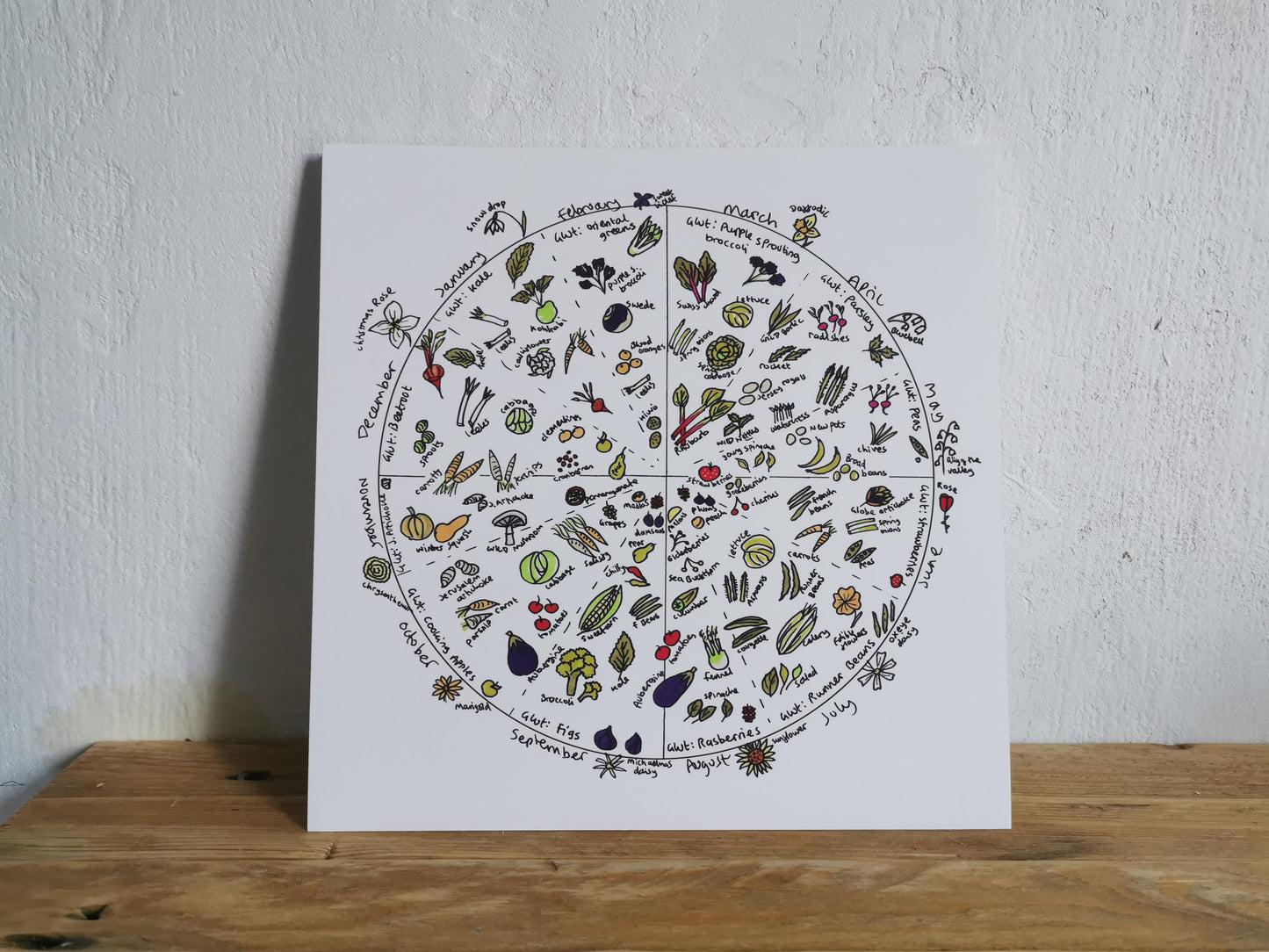 A print showing a circular Seasonal fruit and vegetable harvest wheel showing month to month what is in season within the UK.