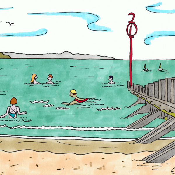 Coaster - Wild Swimming